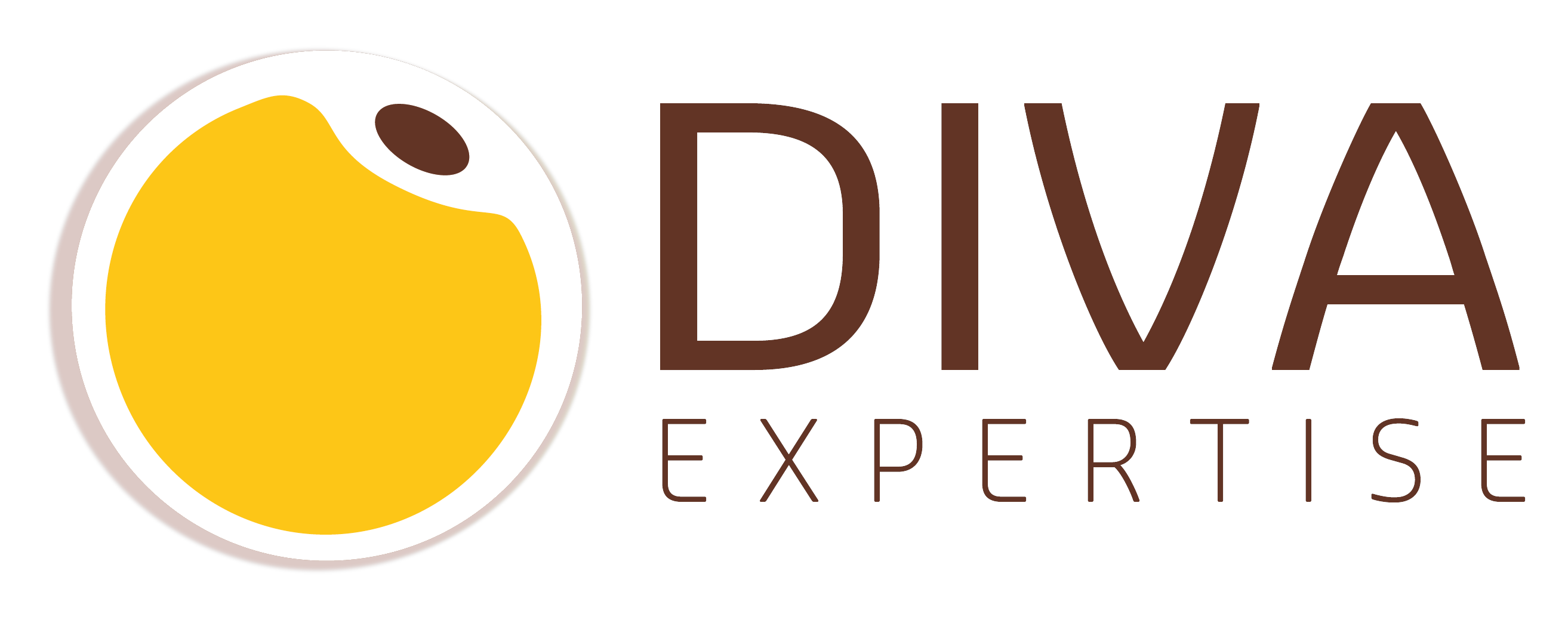 DIVA Expertise